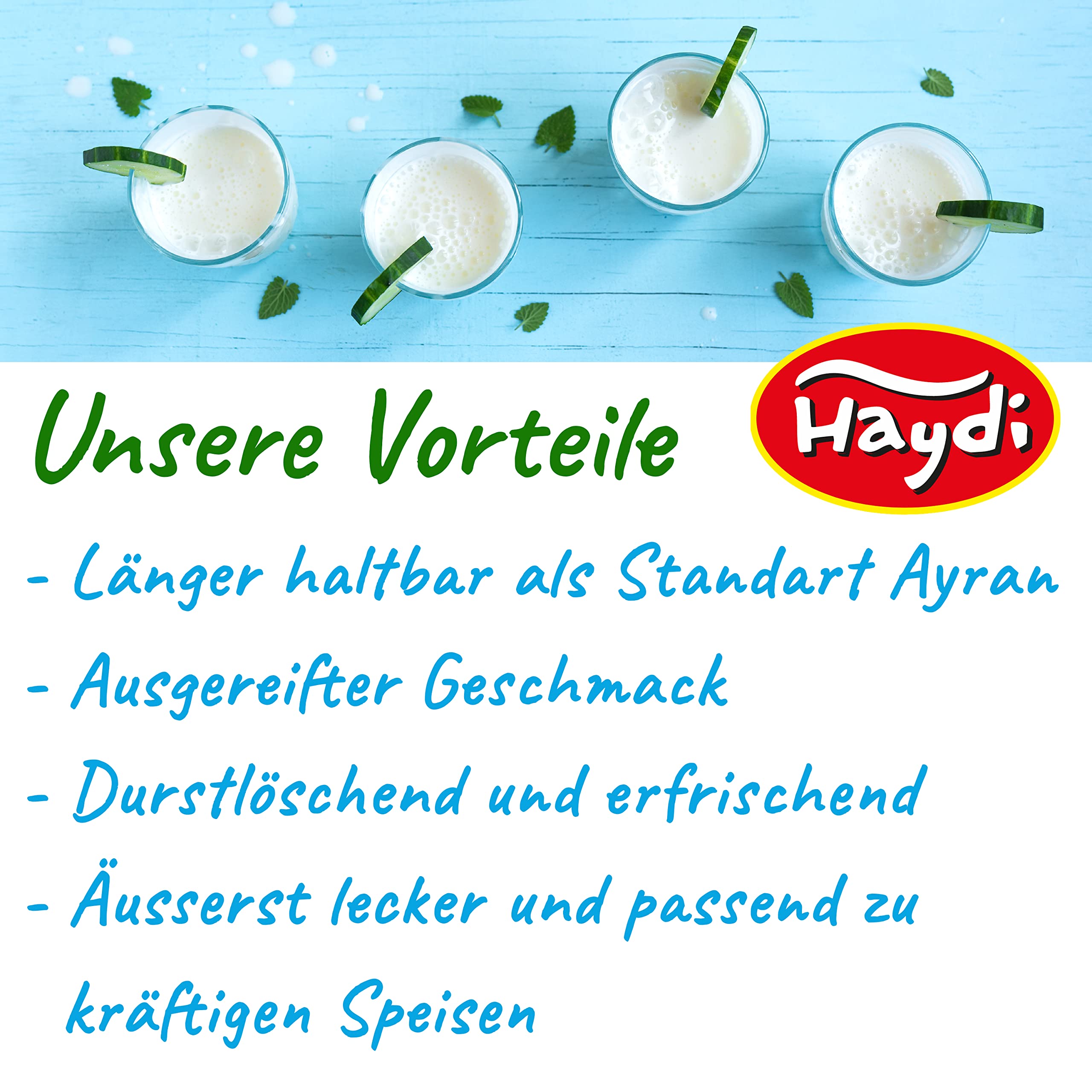 Ayran Joghurt Getränk 500ml 24er Pack High Protein Low Sugar Lower Carb ohne Zuckerzusatz