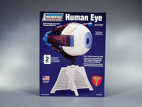 Lindberg ojo humano