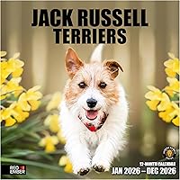 Vista 17 de RED EMBER Calendario de pared 2025 con diseño de cachorros de 12 meses, 12 x 24 pulgadas, abierto, papel grueso y resistente, para regalo