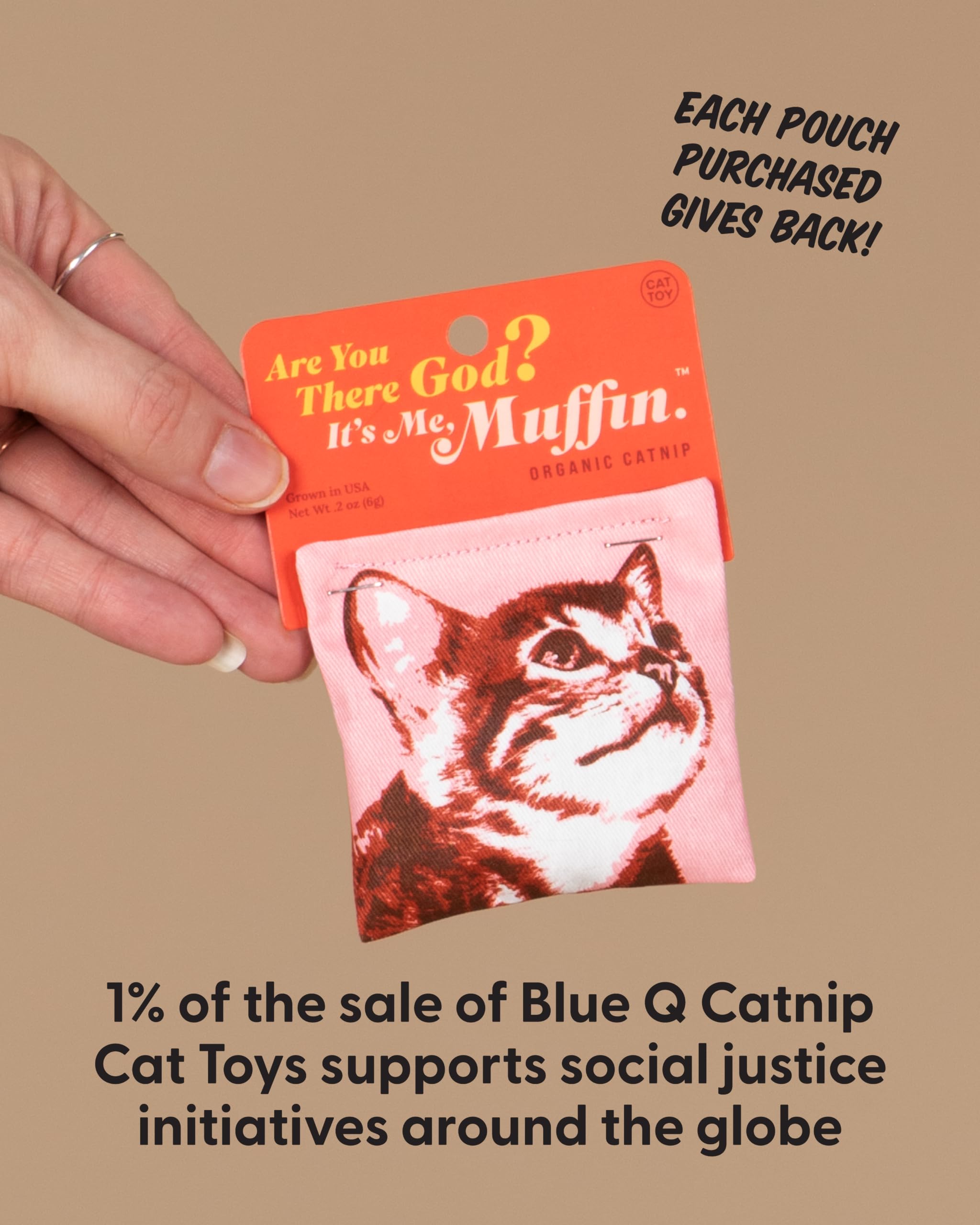 Amazon.com : Blue Q Catnip - Cute Cat Toys for Biting w/Funny