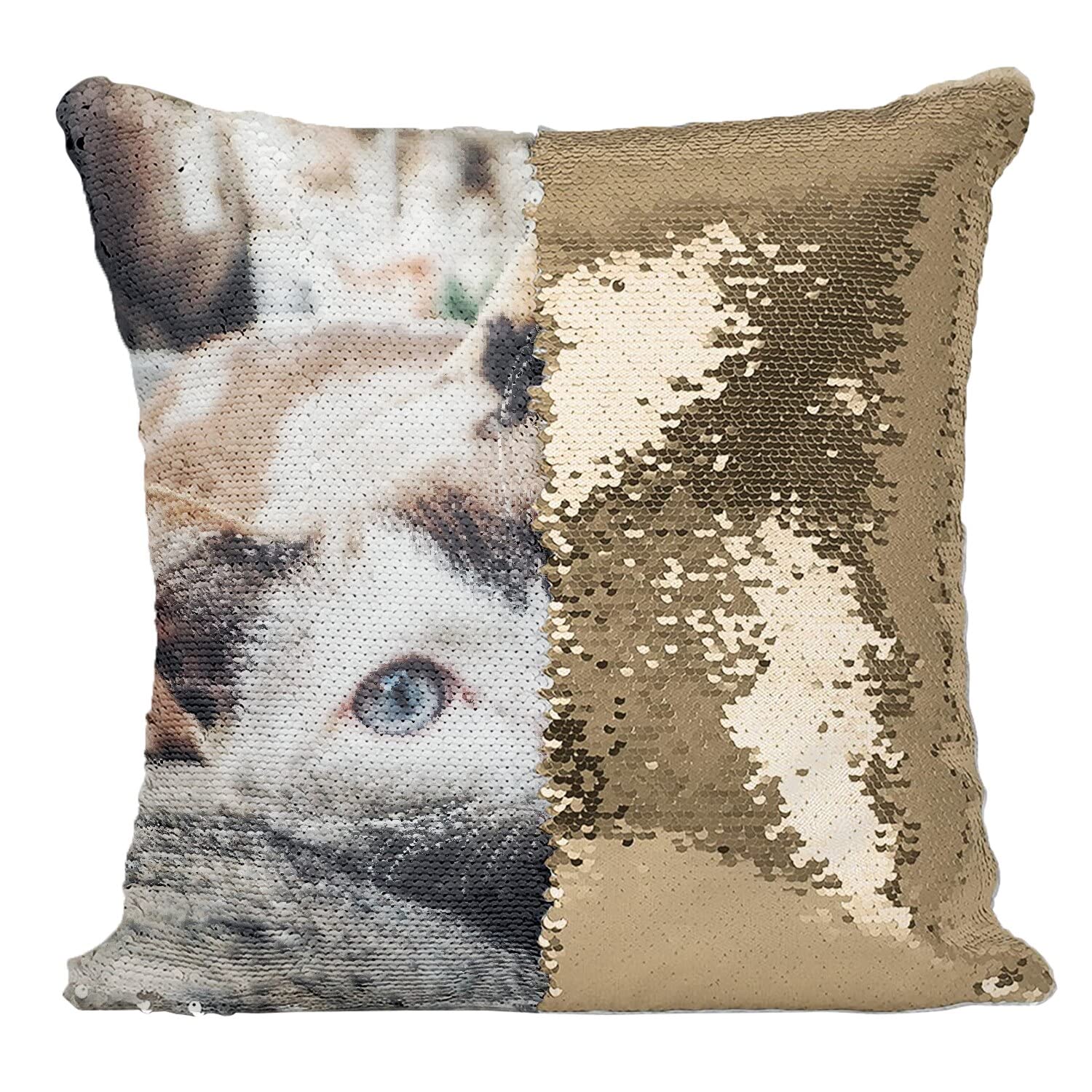 Coussin Chat Calico Européen aux Yeux Bleus Idée Cadeau Idéale