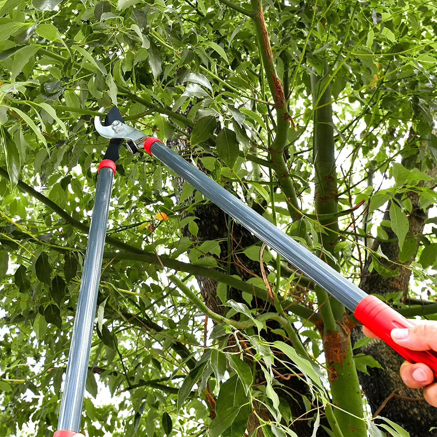 Kapoo Heavy Duty 28" Tree Loppers, Garden Lopper Set with 18" Professional Hedge Shears, 8" Sharp Pruning Shears for Tree and Shrub Care Kit ba02 : Patio, Lawn & Garden