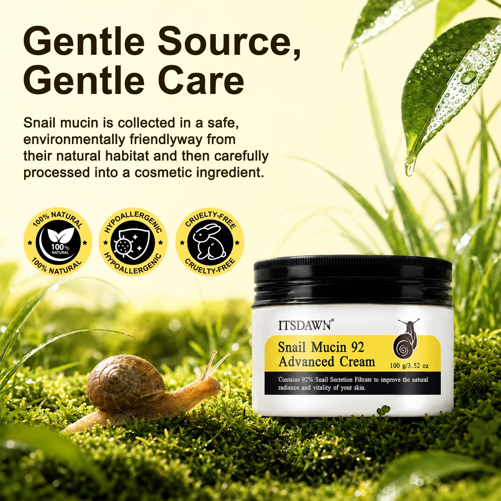 Amazon.com: ITSDAWN Snail Mucin 92% Repair Cream 100g, Face