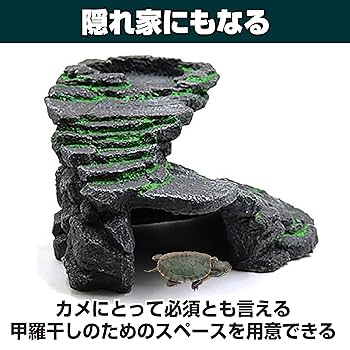 爬虫類ウェットシェルター　廃車風 i Shelter アイシェルタースペシャルギフトボックス 最高級美濃