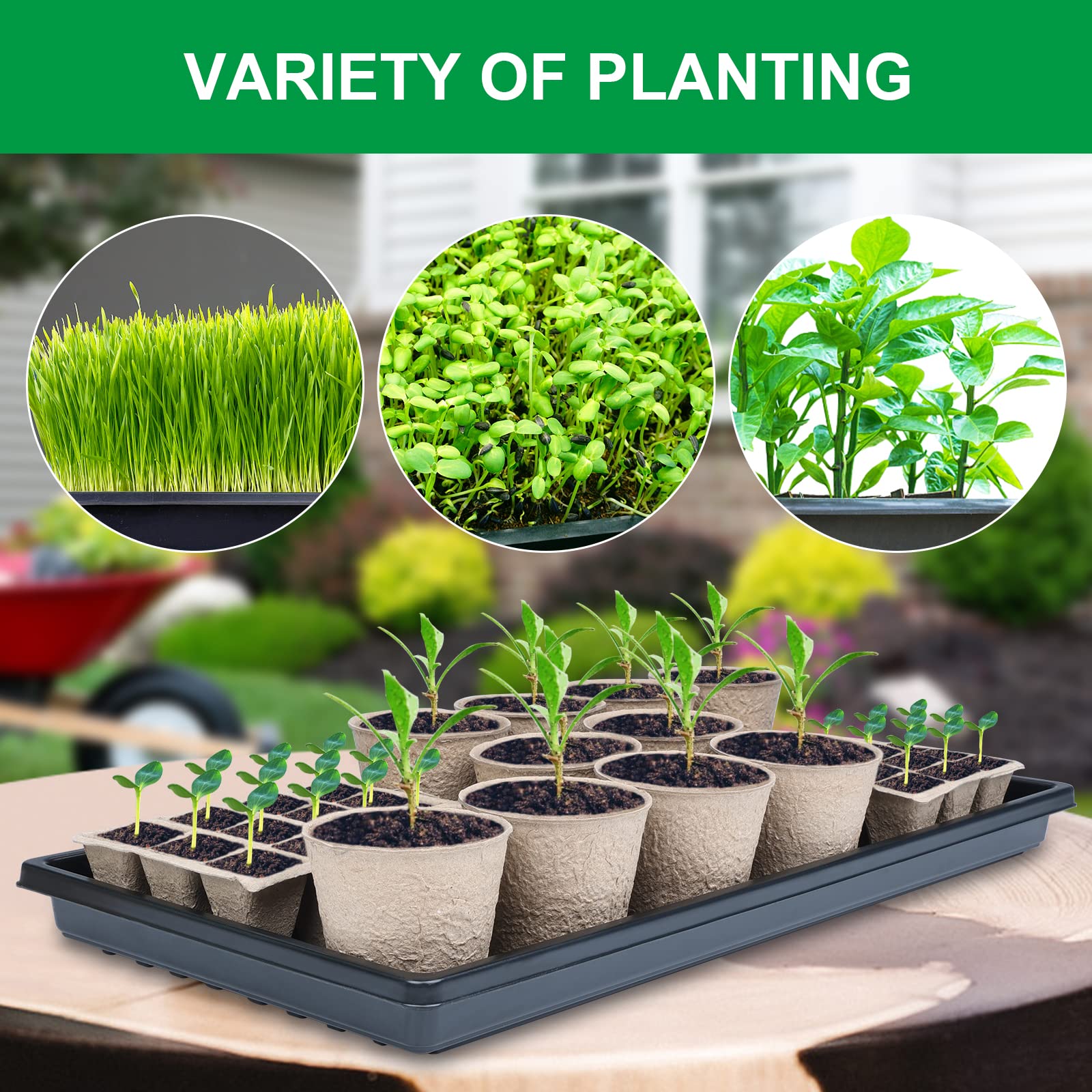 eMagTech 600 etichette per piante di semi vassoio da giardino vasi marcatori etichette per semina impermeabili in PVC per vaso da giardino aiuola albero frutto mescolare colore