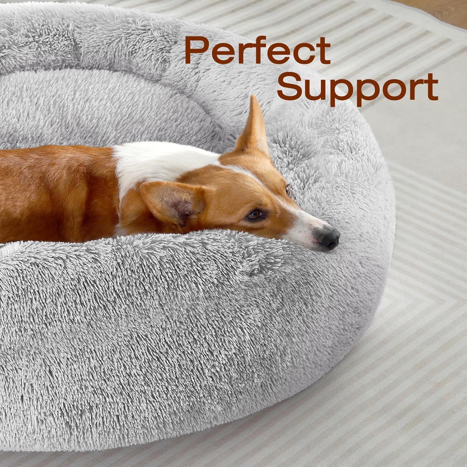 Find Serenity: A Review of the JOLLYVOGUE Calming Pet Bed for Small Paws