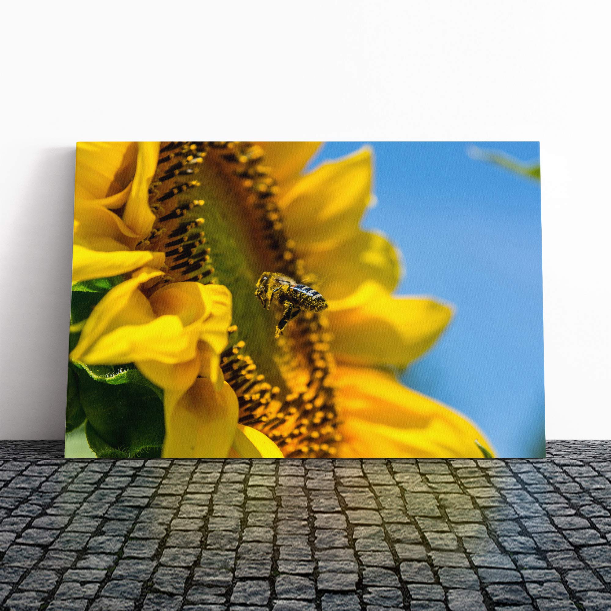 Flower Yellow Sunflower and Bee Canvas Print | Gallery Wrapped 30mm Frame Wall Art | 20x14 inches | Ready to Hang | Modern Animals Picture | Living Room Bedroom Lounge Office