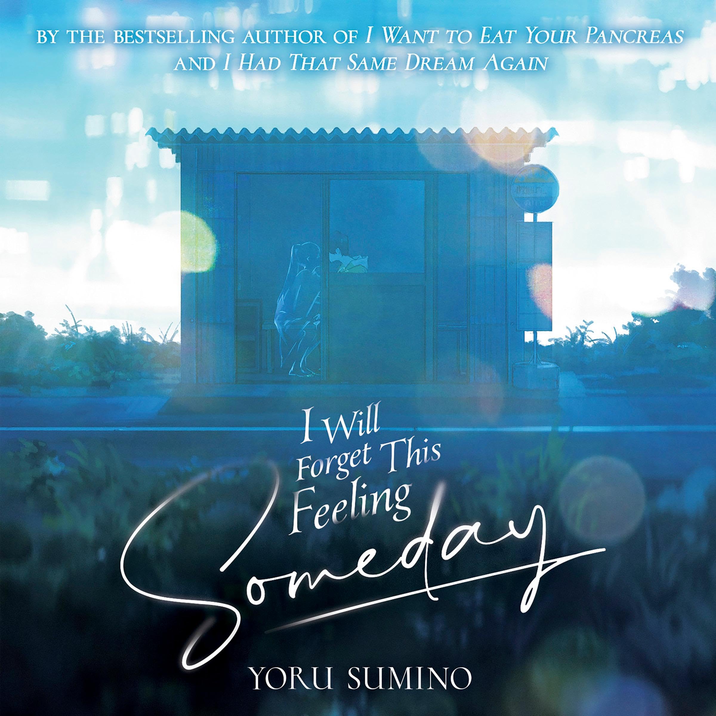 I Will Forget This Feeling Someday (Light Novel)