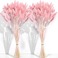 120 PCS Pink Dried Pampas Grass 17-Inch Bunny Tails Bulk - Natural Dry Flowers for Boho Wedding Home Decor