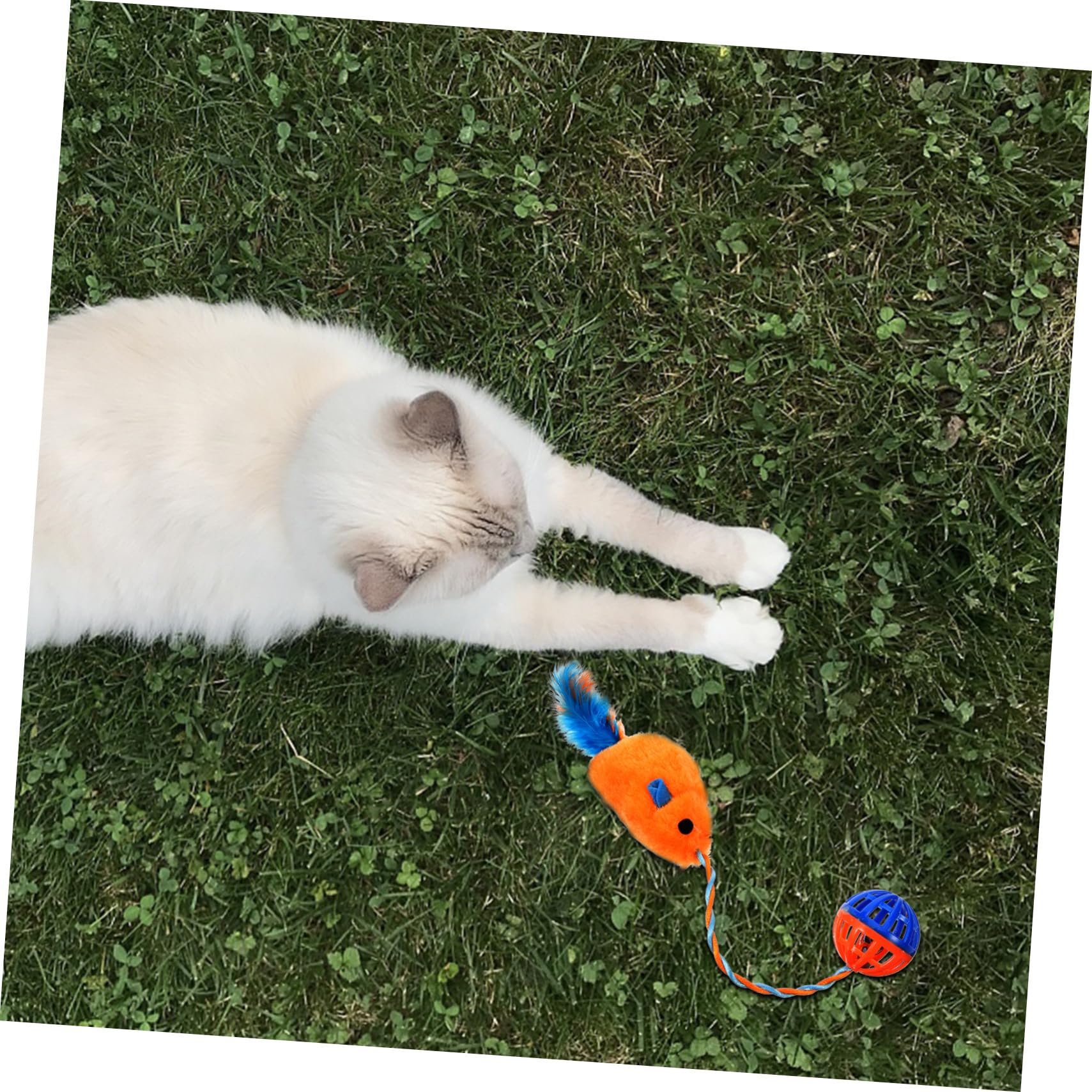 Yardwe Interactif Chat avec Souris Peluche et Clochette Plastique Balle à Mâcher pour Amusant pour Chat Intérieur