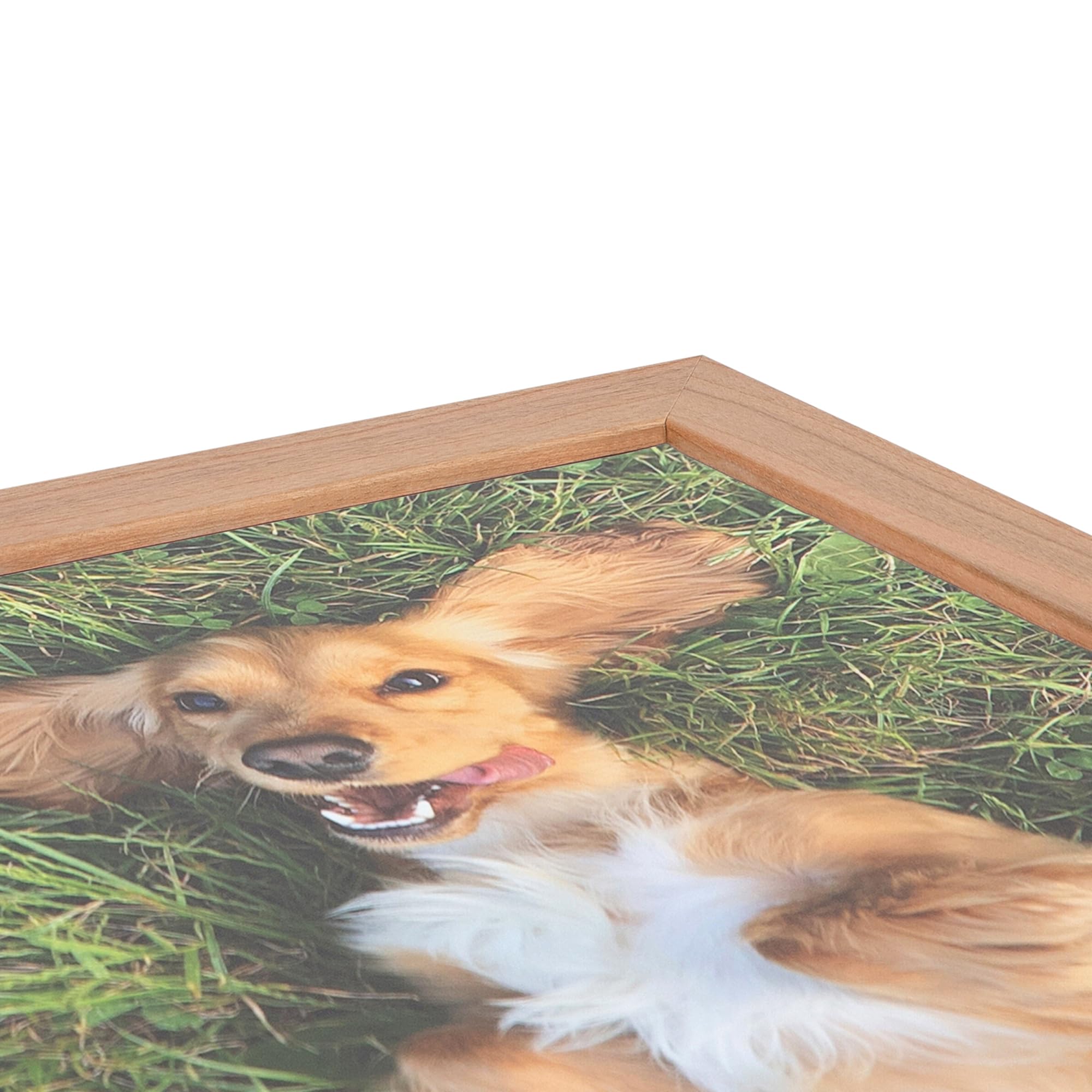 Amazon.co.jp: ArtToFrames 14x18インチ レッド写真フレーム この1.25