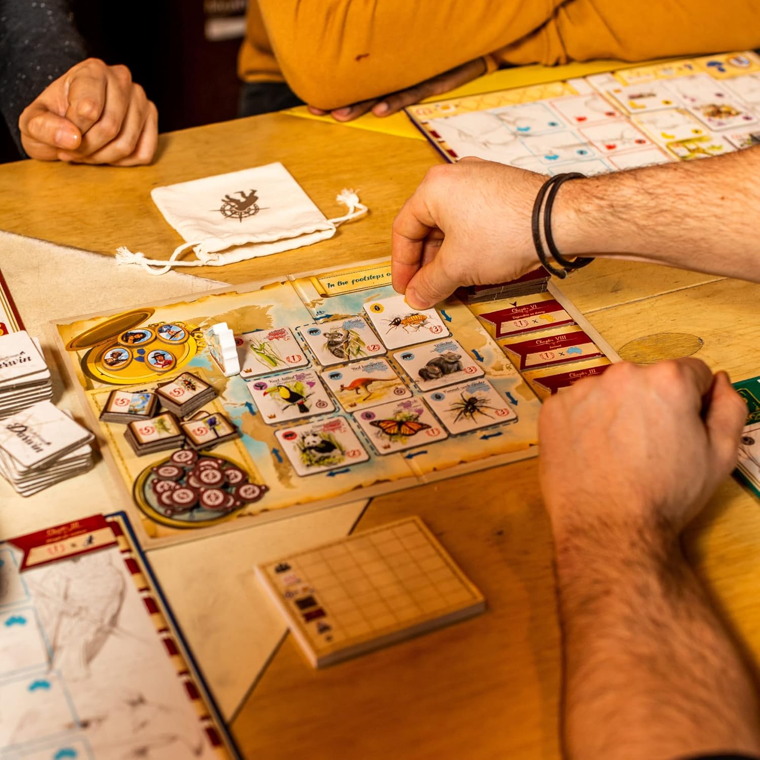 in The Footsteps of Darwin | Mensa Select Winner | Tile Laying Board Game for Kids, Teens, & Adults | Help Create Origins of Species | Fun & Educational Family Game | Ages 8+ | 2-5 Players | 30 Min