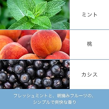 8個セット パンテーン クレンズサシェ シャンプー セット sundries_4902430885706