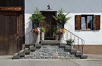 Vista 4 de Steel Lighting Co. Highland Park - Luz de granero Montada en la pared al aire libre Onda radial de 16 pulgadas Brazo recto de 11 pulgadas