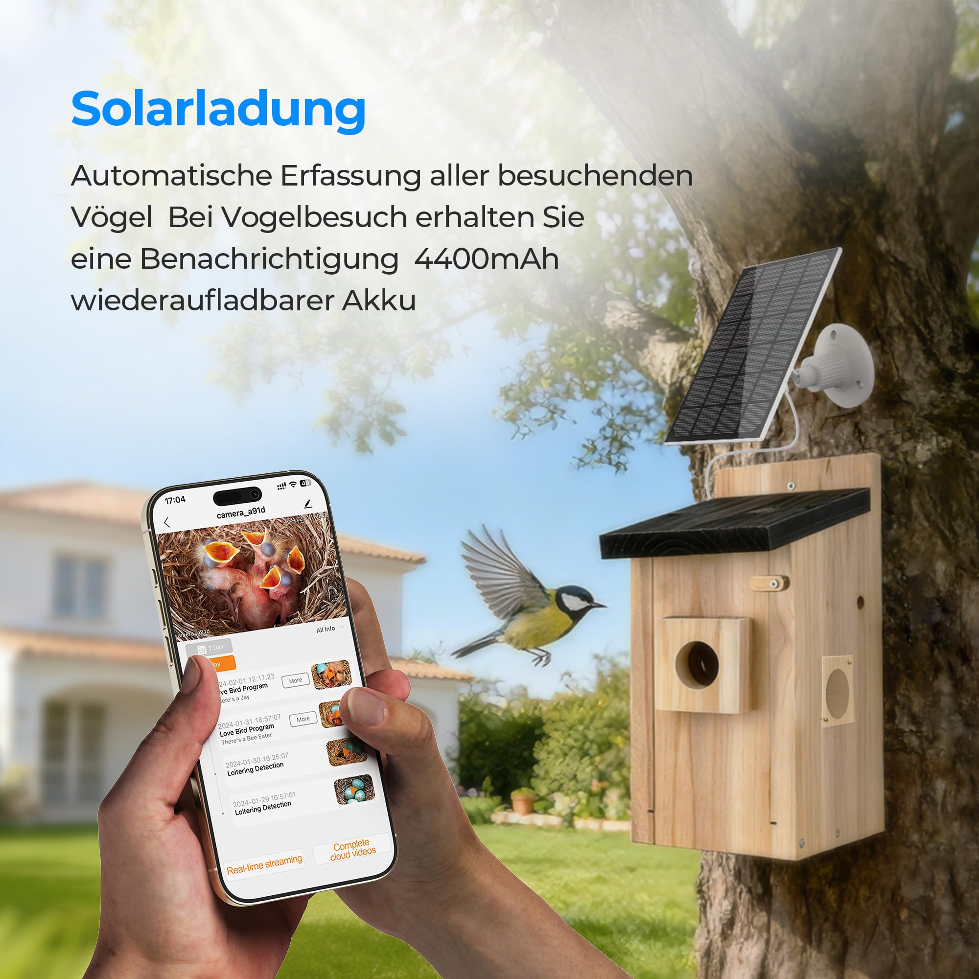 Vogelhaus mit Kamera - 400W Pixel Nistkasten mit Kamera zur Echtzeit-Beobachtung des Nestbau- und Brutprozesses, IP65 wasserdicht & DIY Bausatz