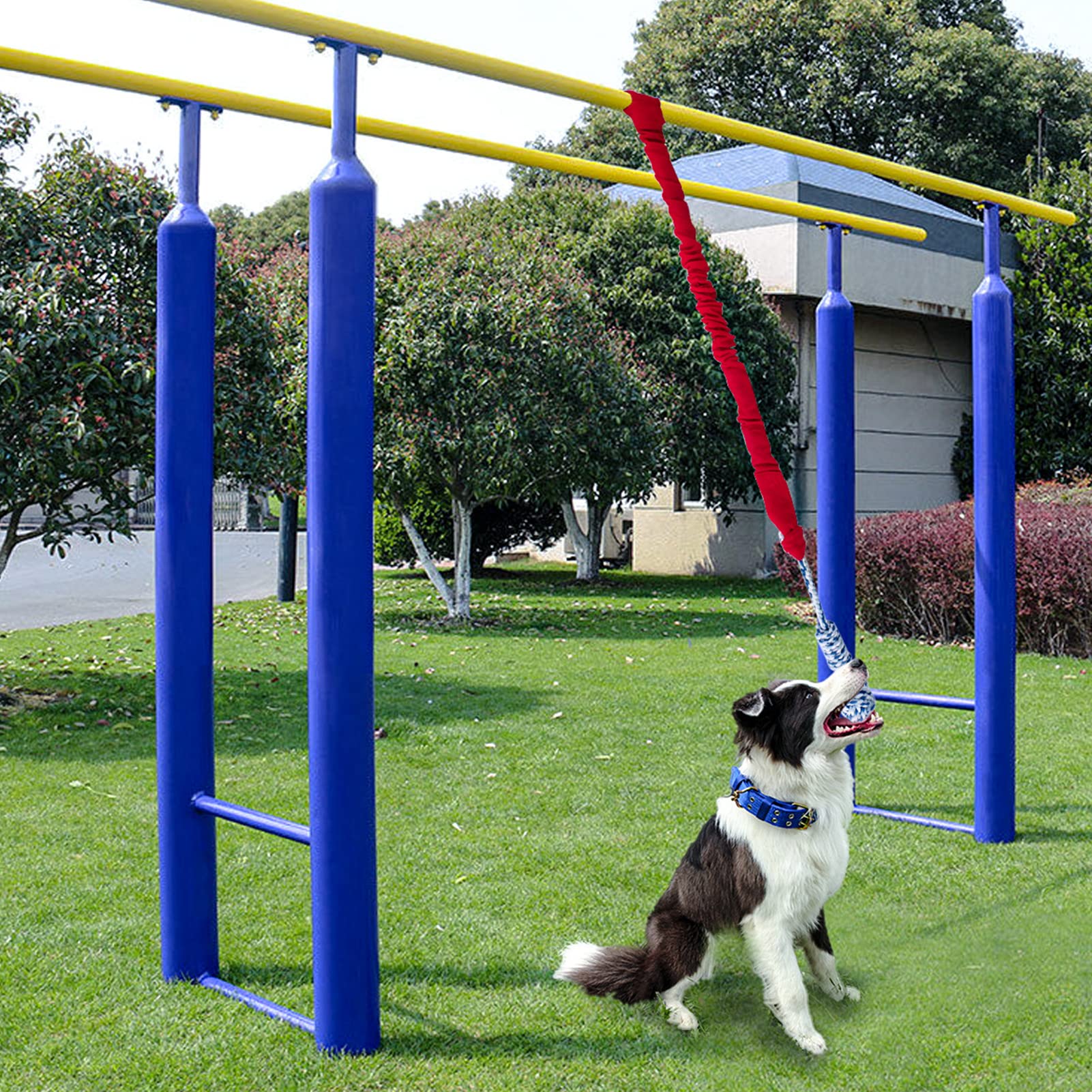 Honden stimuleerspeelgoed | Hondentraining