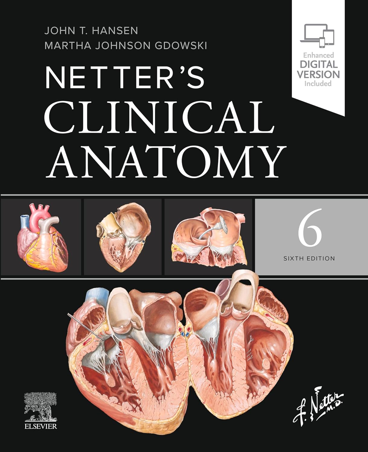 Netter's Clinical Anatomy - Ebook (Netter Basic Science)