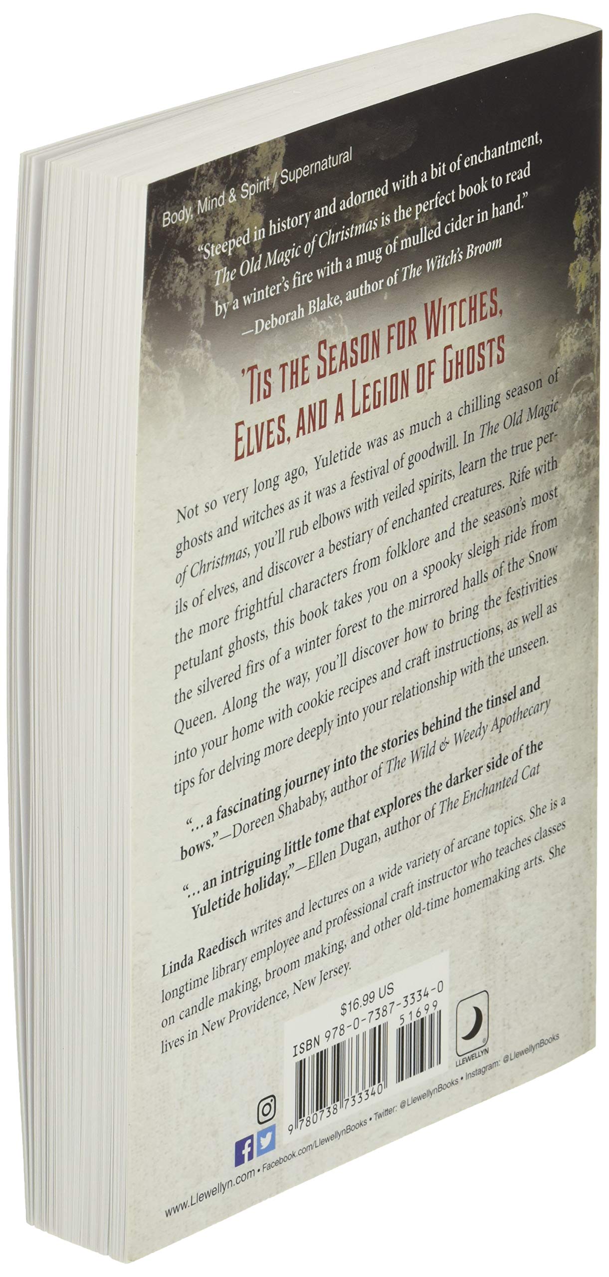 The Old Magic of Christmas: Yuletide Traditions for the Darkest Days of the Year - Image 4