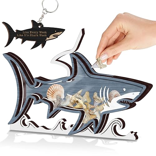 9'' Shark Tooth Holder Display Case, Wooden Shark Display Case,
