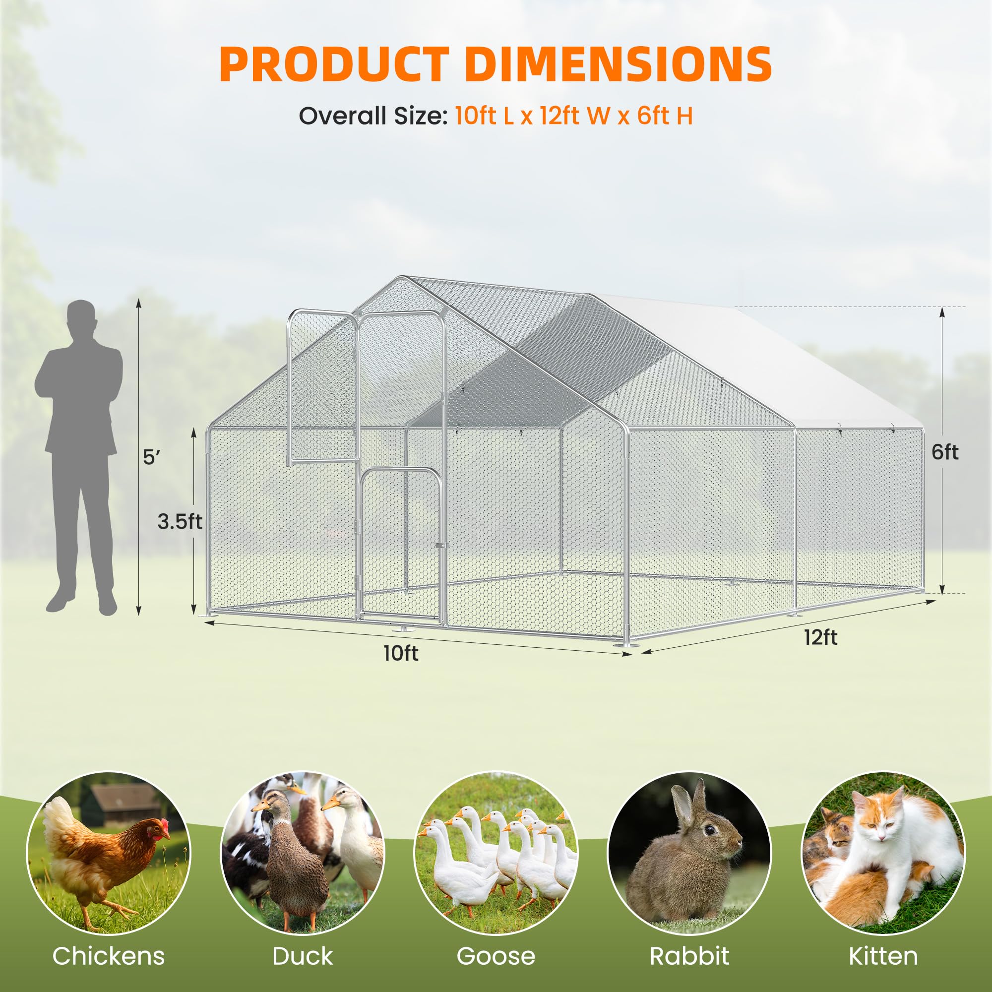 Amazon.com: Large Chicken Coop for 20 Chickens,Walk-in Chicken Run