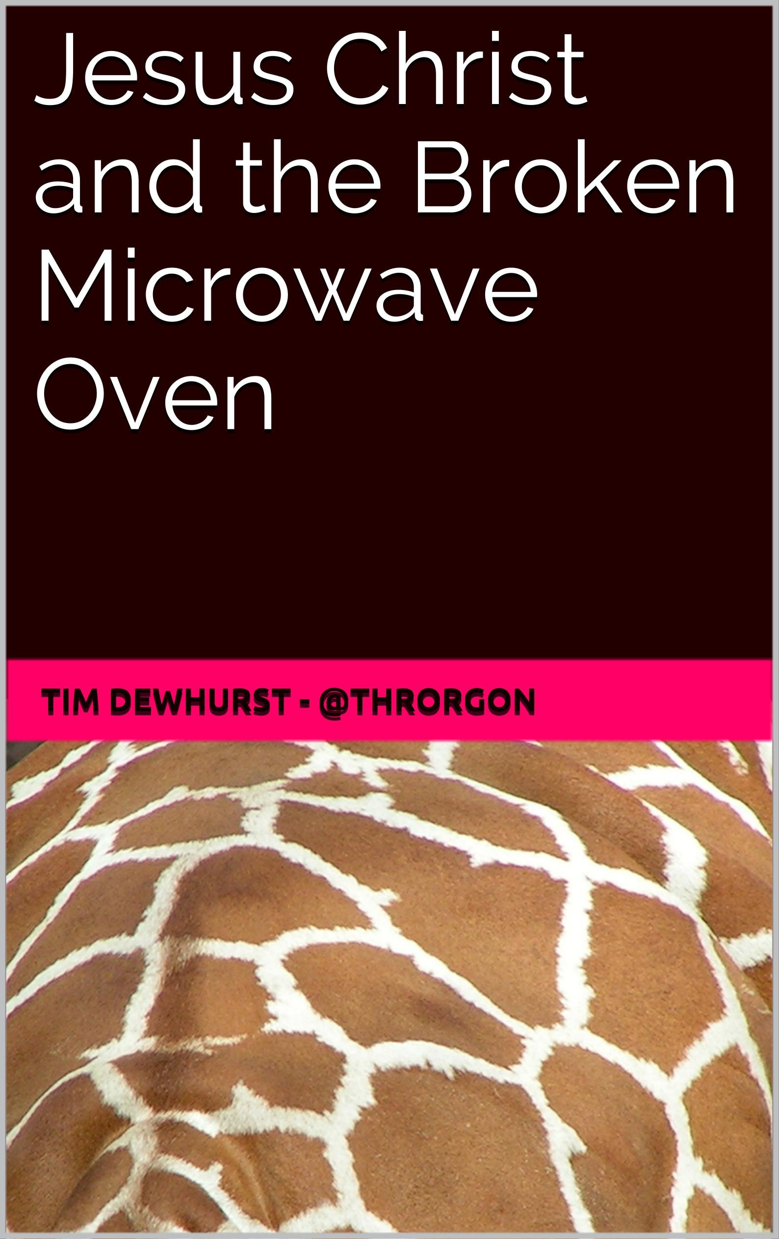 Jesus Christ and the Broken Microwave Oven