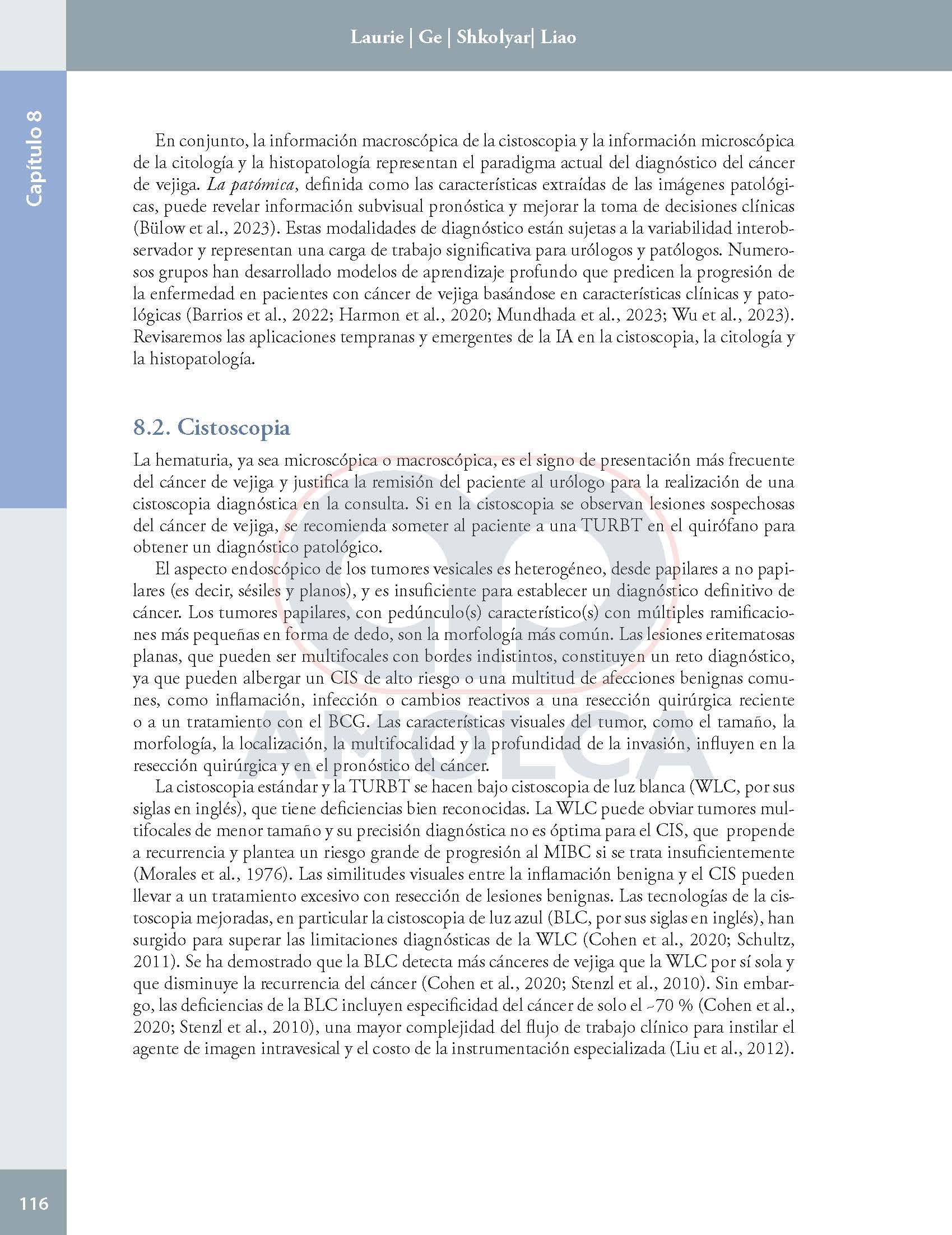 Inteligencia artificial en urologia presente y futuro
