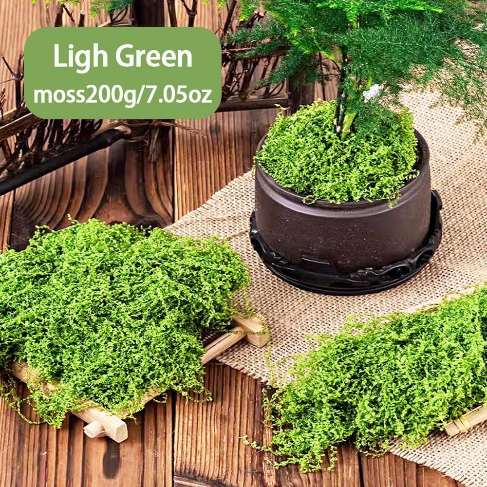 Fake Green Moss for Crafts, Fake Green Moss for Potted Plants, Faux Potted Plants for DIY Decorating Craft Art Potted Wedding Accessories Fairy Garden Accessories, 7.05oz
