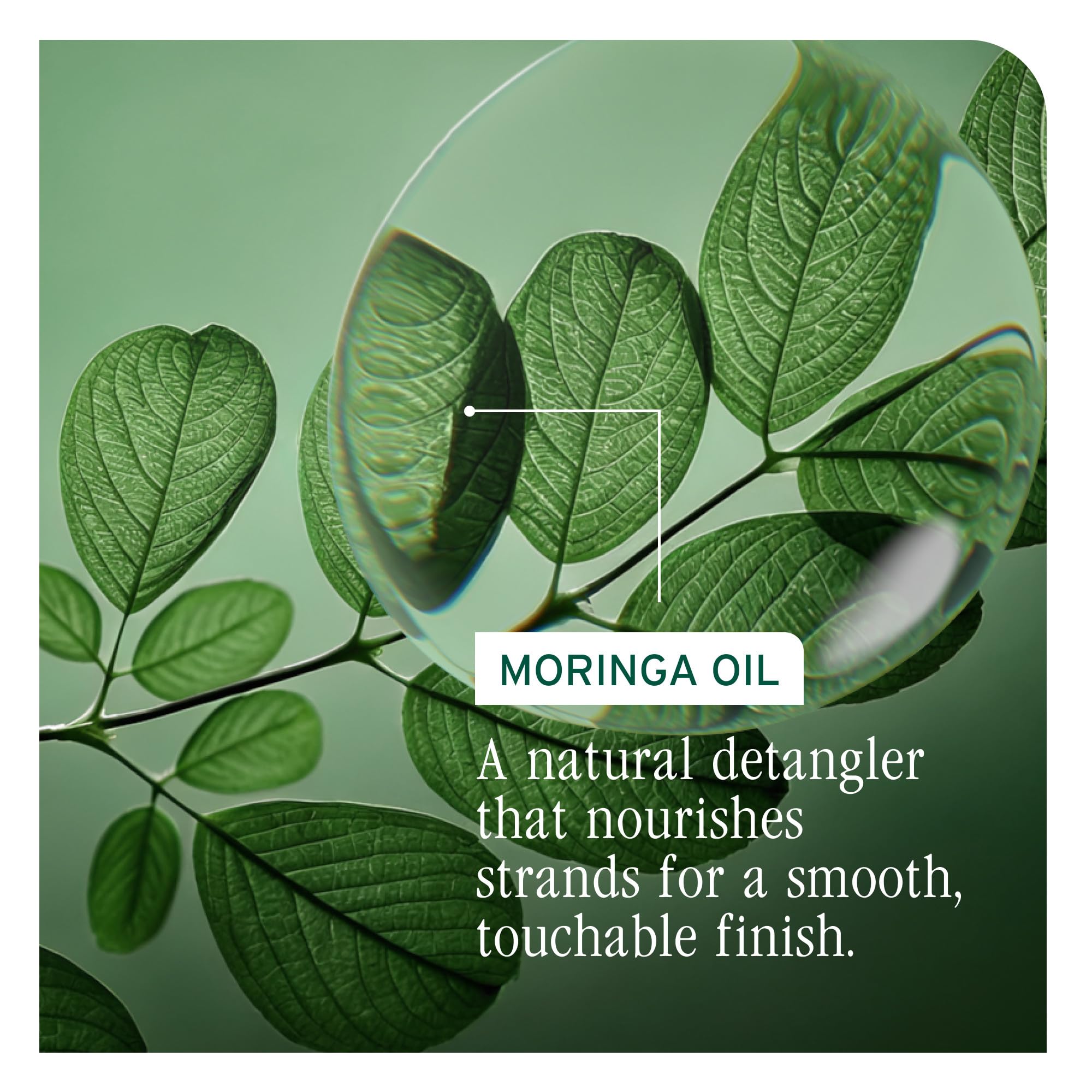 Biolage All-In-One Multi-Benefit Styling Oil for All Hair Types