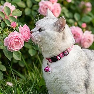 1 Adjustable Cat Face Pendant with Anti-Choking Safety Clasp Cat Collar (Rose Red)