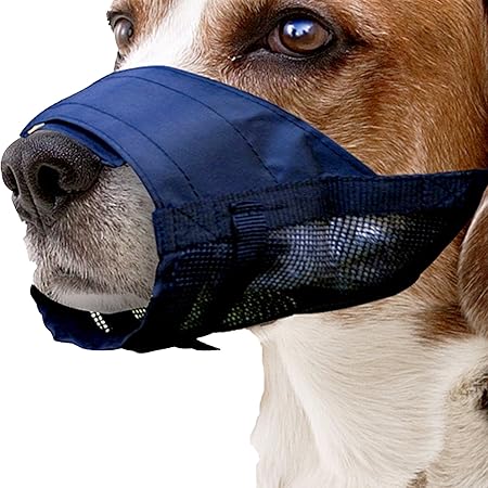 brittany ferries dog muzzle