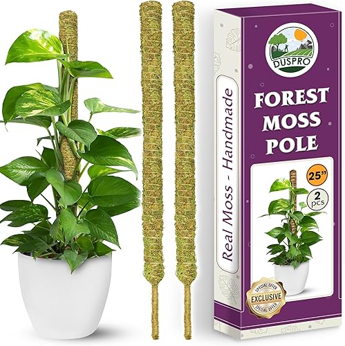 DUSPRO 2 postes de musgo forestal de 17 pulgadas, pequeños postes de musgo para plantas trepadoras, Monstera, palo de musgo Shagnum no flexible para