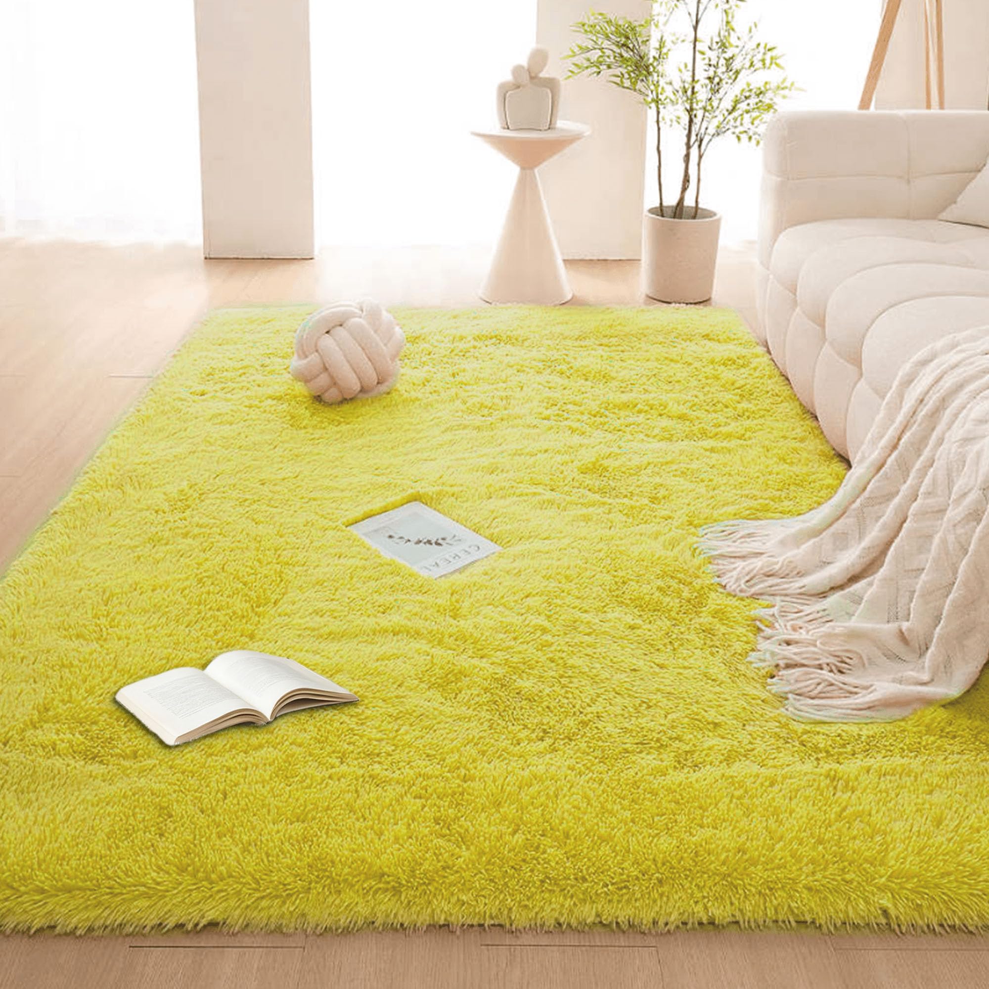 Tapis de salon moelleux lavable grand format pour chambre et couloir