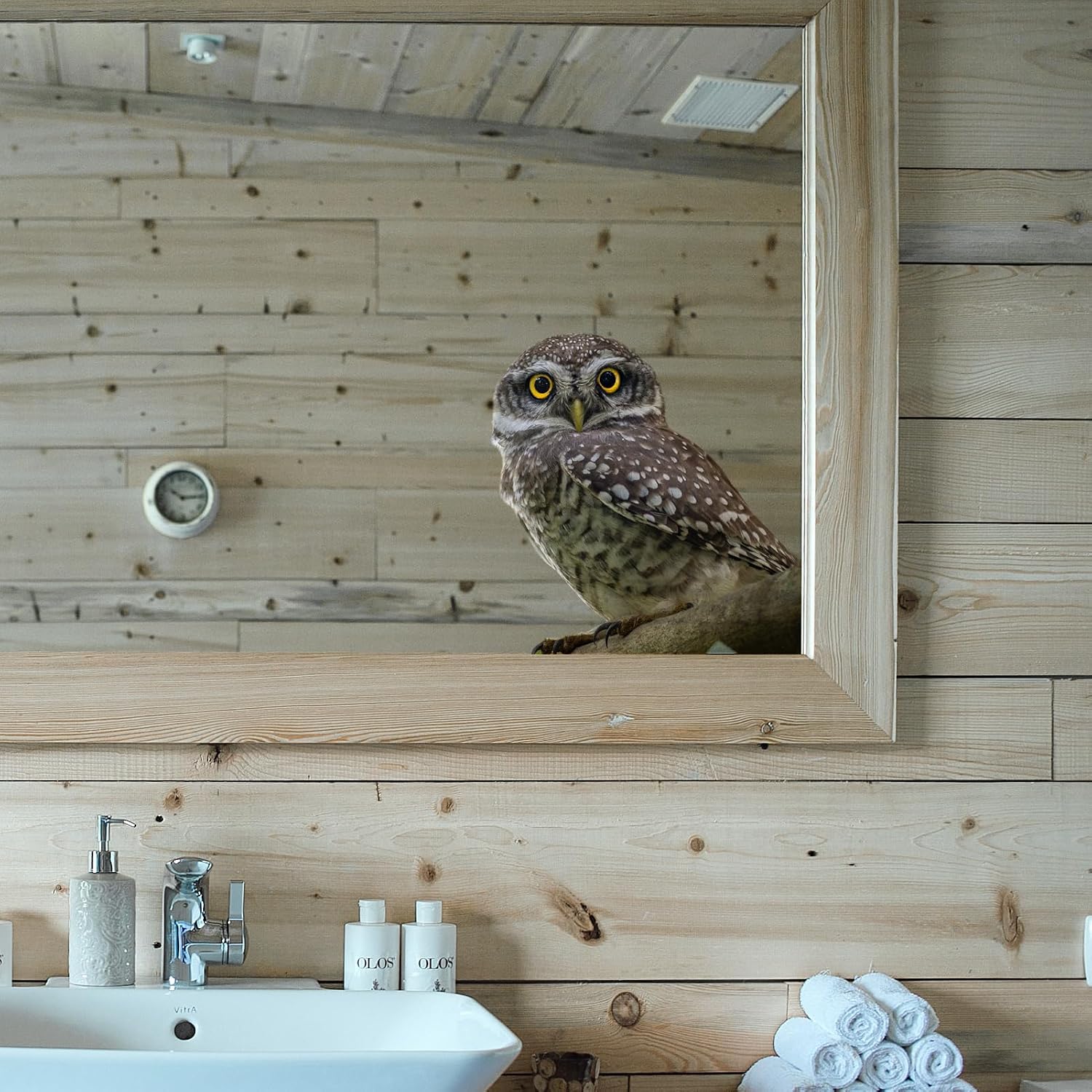 8.2 x 8.2-inch Realistic Owl Removable Vinyl Sticker for Windows (or Any Flat Surface)