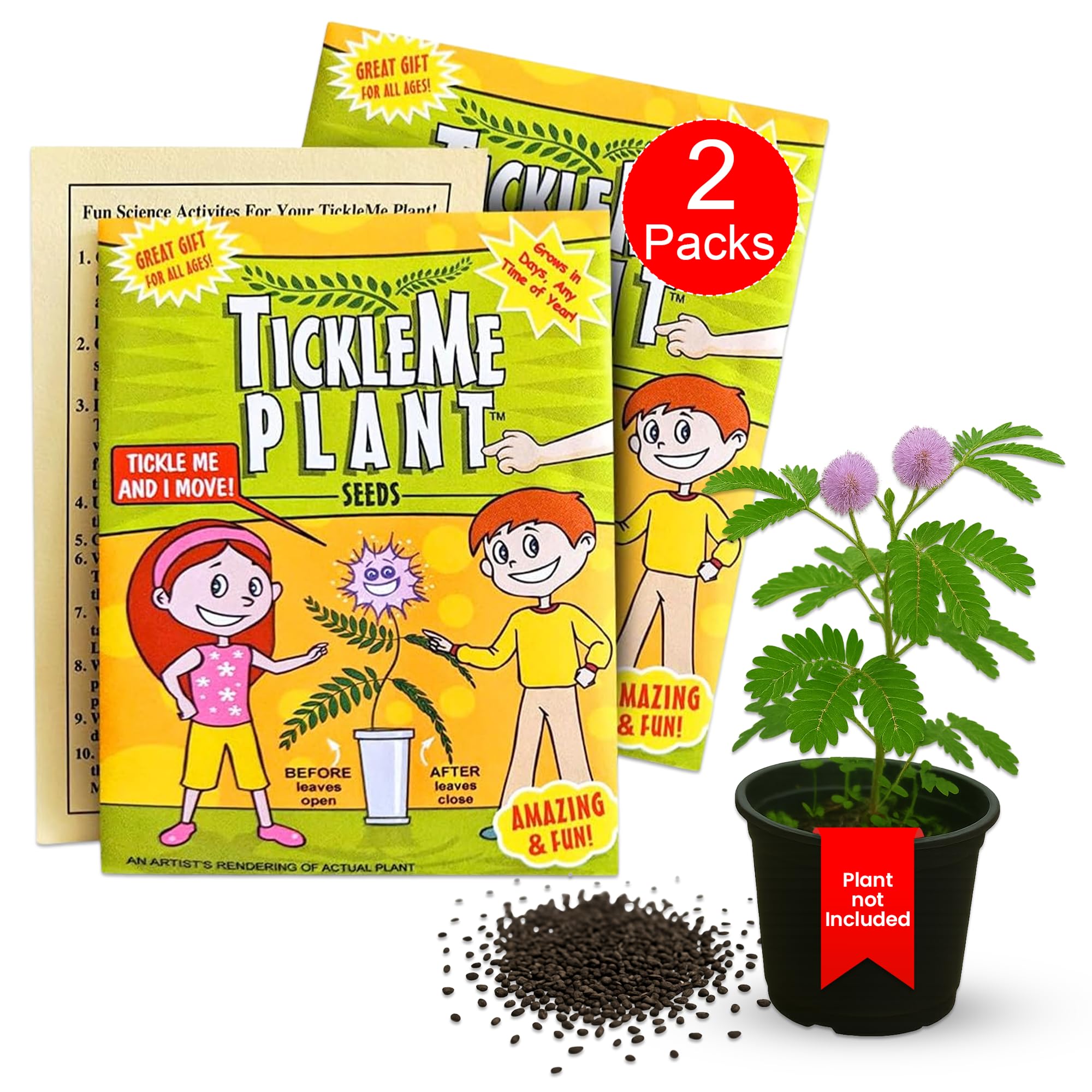 TickleMe Plant Seeds for Indoor Planting (2-Pack) – Interactive Party Favor | Leaves Close When Touched, Reopen in Minutes – Easy Indoor House Plant Seeds, Can Flower, Includes 10 Fun Activities