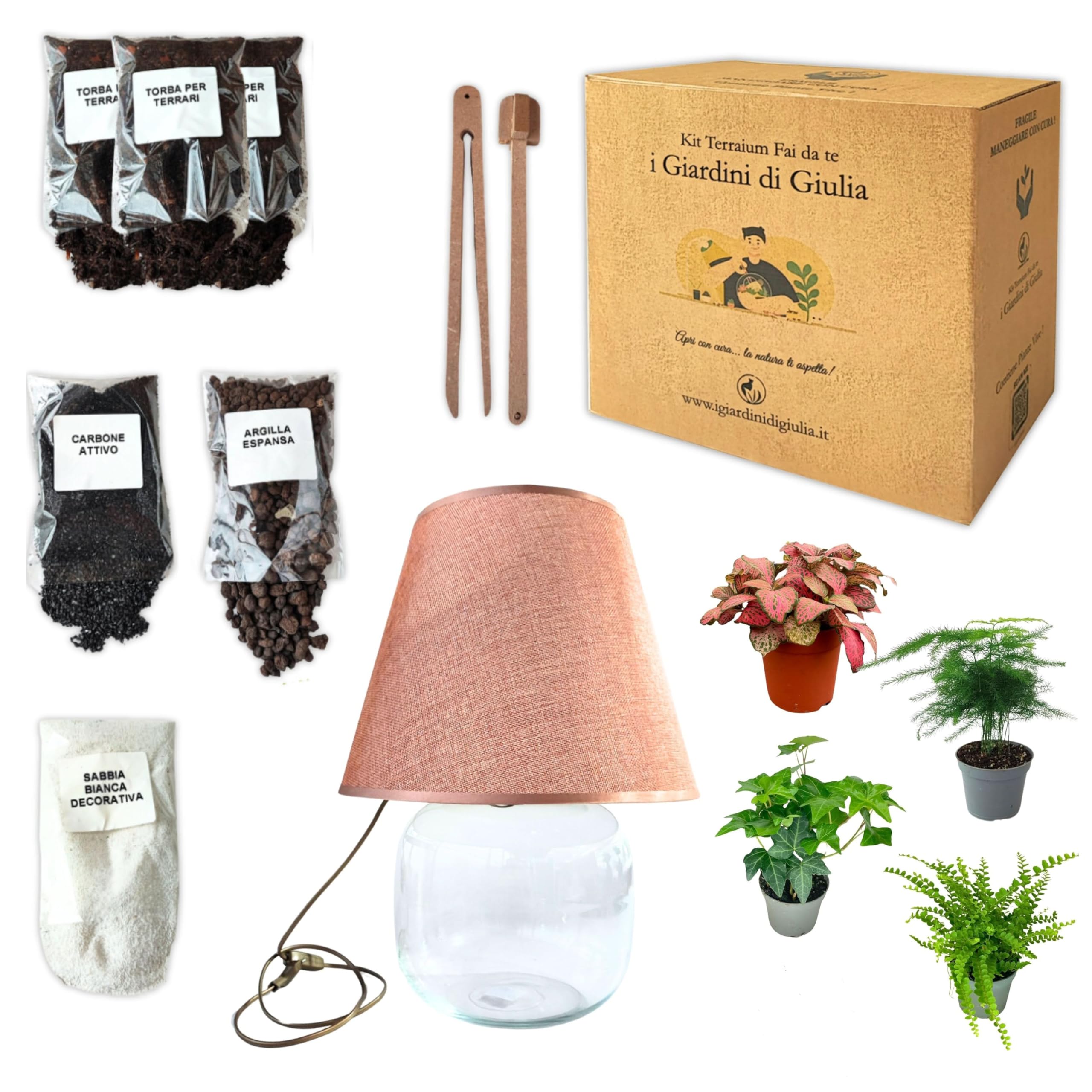Kit Terrarium Lamparium e Piante Verdi | Vaso in Vetro con Paralume Incluso | Include Substrati, Accessori e Terrario Fai-da-Te