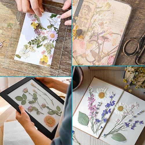 Miniatura 8 de T&W SAME FILM Paquete de 30 hojas de laminación autoadhesivas, 4 mil, capacidad para papel laminado de 8.5 x 11 pulgadas, hojas de laminación de 9 x