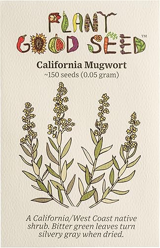 California Mugwort (Artemisia douglasiana) Semillas – Paquete de 150, semillas de hierbas orgánicas certificadas, sin OMG, polinizadas abiertas y