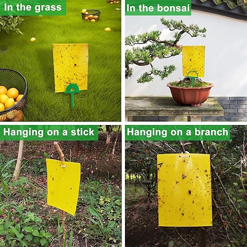 Miniatura 4 de 100 hojas de trampas adhesivas para moscas, de doble cara, para insectos voladores, interiores y exteriores, 8 x 6 pulgadas, amarillo