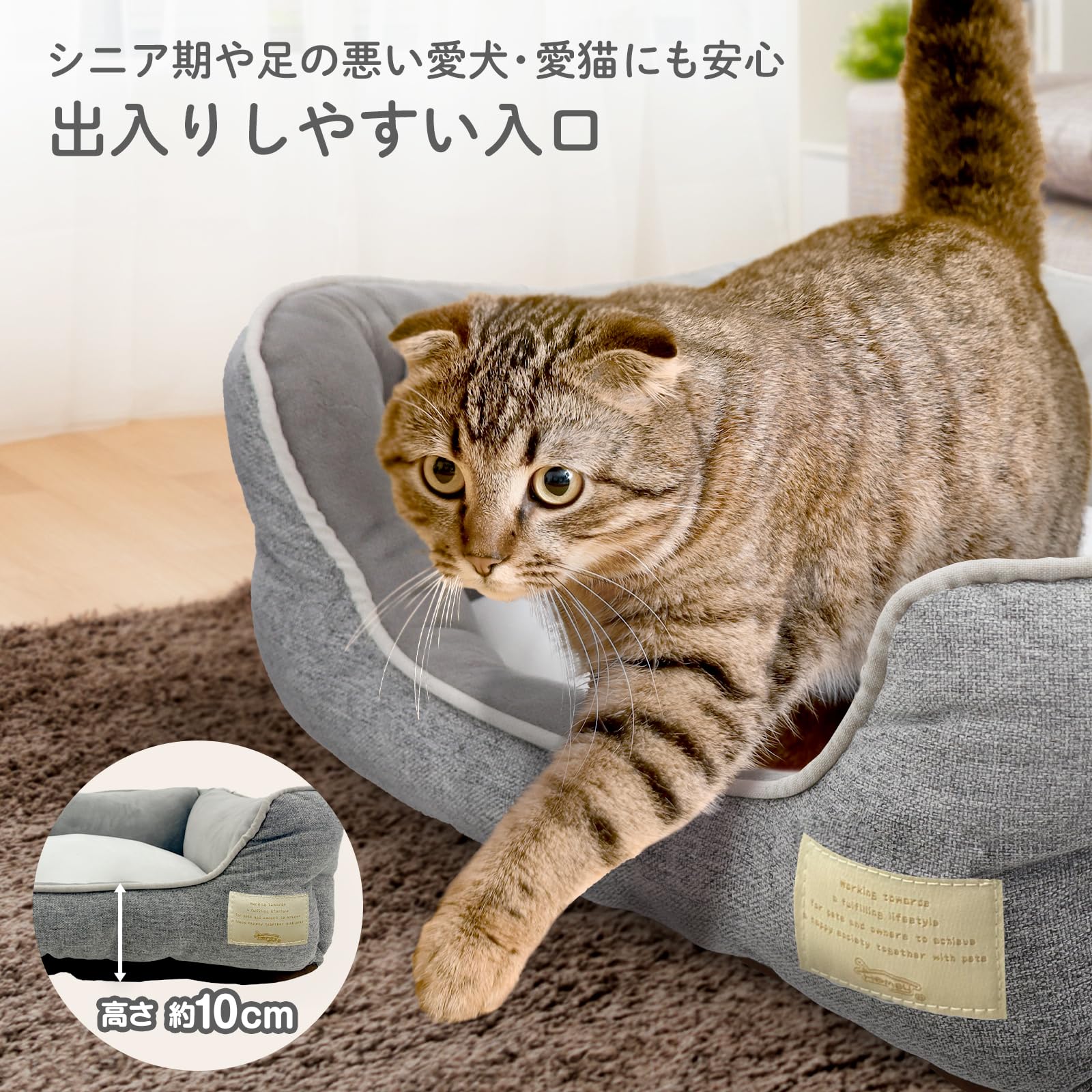 Amazon.co.jp: ペットプロ Homey ペットベッド S グレー オール
