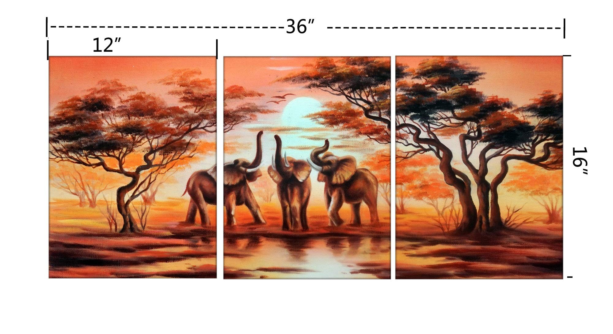 Amazon.co.jp: Amoyアート- 3パネル動物アフリカ象キャンバスプリント