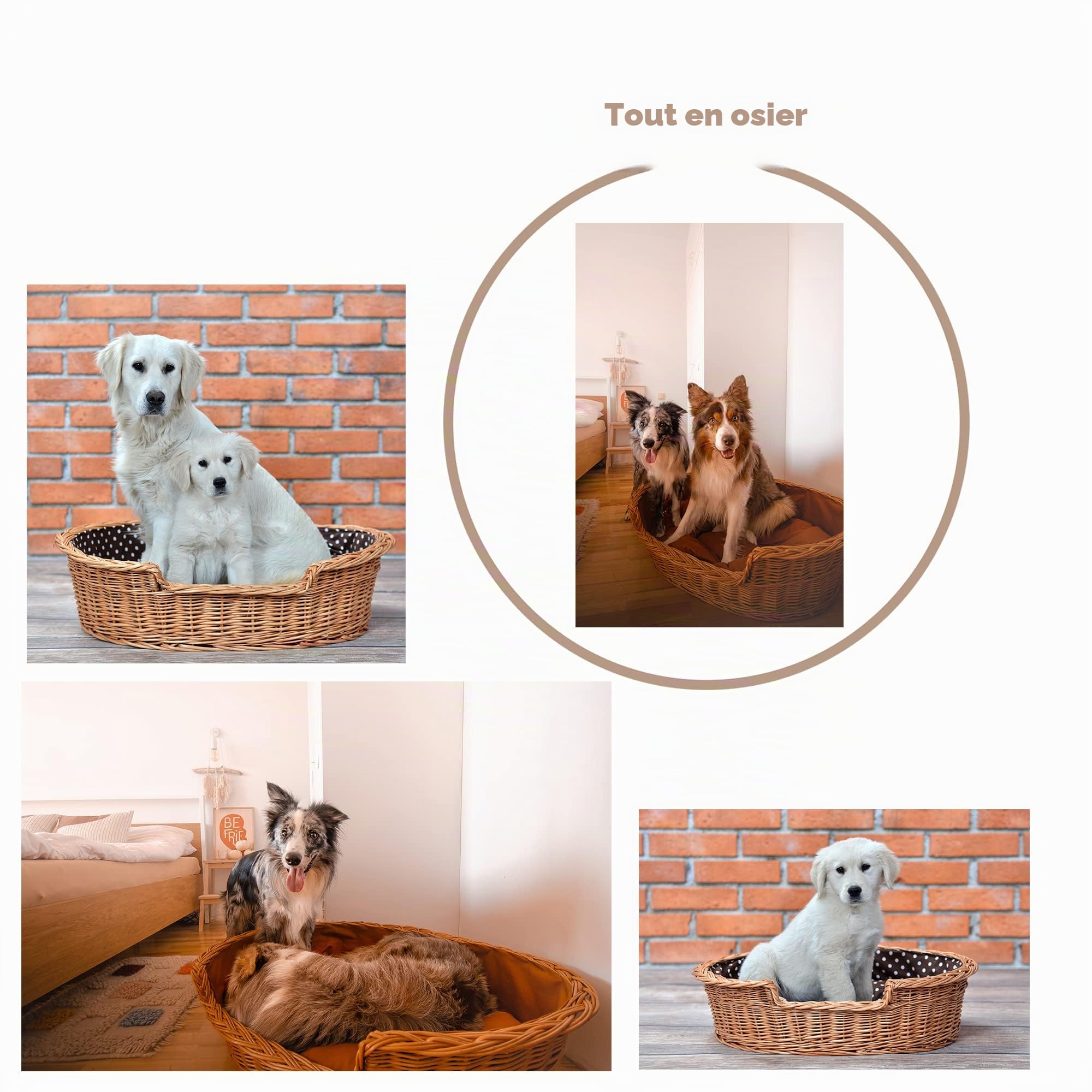 e-wicker24 Corbeille,Panier,Niche,Coussin Ovale pour Chien, doublée avec Coussin Maron (L)