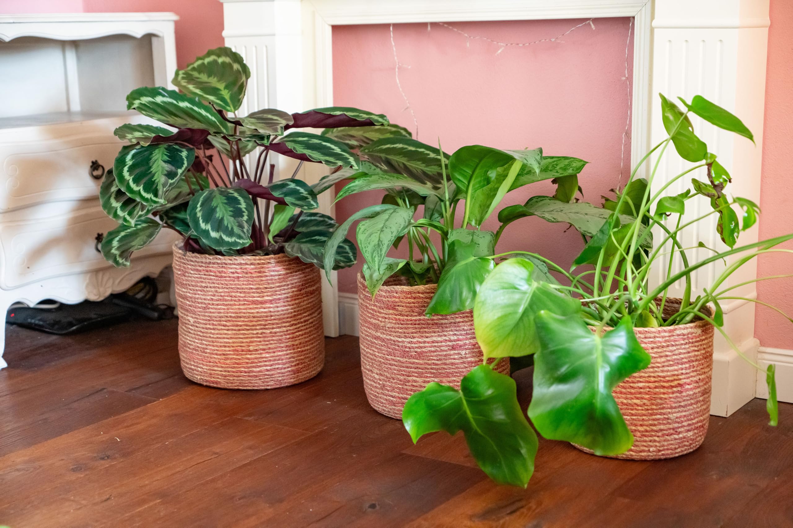 Decorasian Seegras Blumentopf – Übertopf geflochten – dekorativer Planzenkorb mit Folieneinsatz im Boho Stil