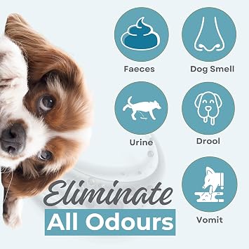 AQUAFORCE Pet Odour Eliminator Spray, Strong Enzyme Odour Bacteria Eating Deodoriser & Dog Urine Neutraliser | Pet Odour Remover | Smells from Carpet, Upholstery