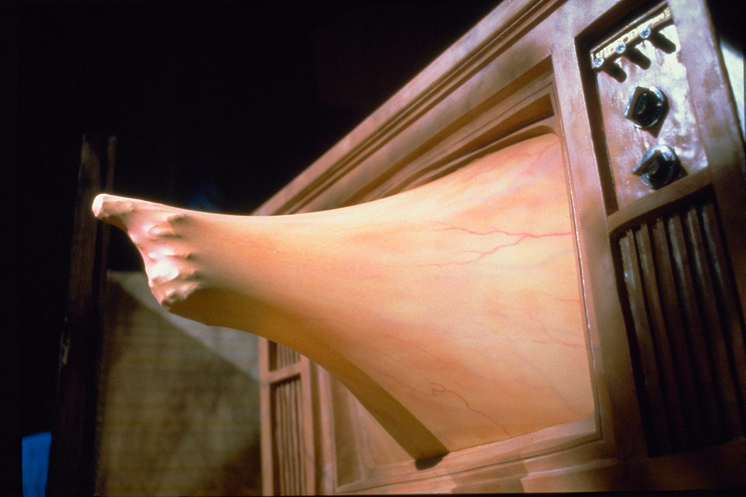 [Elephant Films] Edition officielle française - Videodrome - Steelbook - Edition spéciale 2 Blu-ray