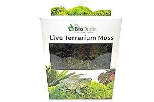 BIODUDE Live Moss Carpet: Natural Habitat for Reptiles & Amphibians