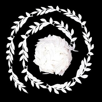 Leaf Edge Venice Lace Trim Ribbon for Sewing, 7 Yards Embroidery Patch Applique Trim for Wedding Bridal Dress Veil White