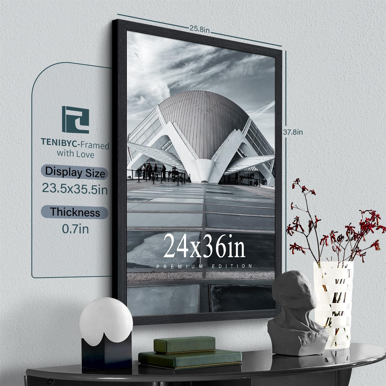 https://m.media-amazon.com/images/I/81eiWxQBq+L.jpg