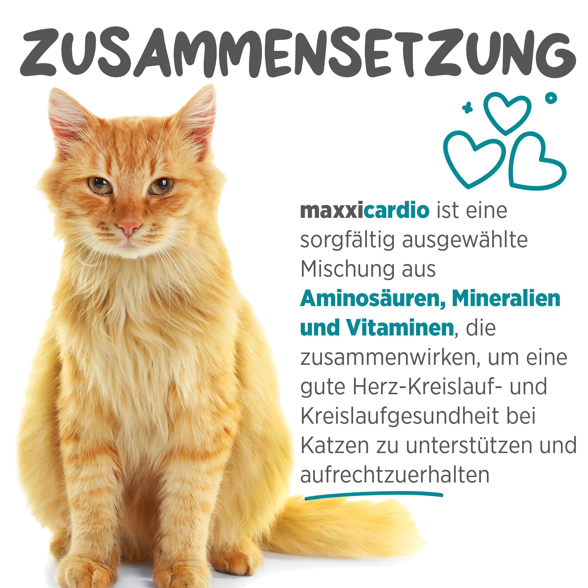 maxxipaws maxxicardio Herz- und Kreislauf Ergänzungsfuttermittel in Pulverform für Katzen, 90 g