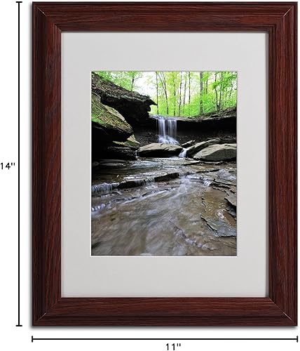 Miniatura 6 de Trademark Fine Art Blue Hen Falls in Spring - Arte enmarcado mate por Kurt Shaffer en marco de madera, 11 x 14 pulgadas