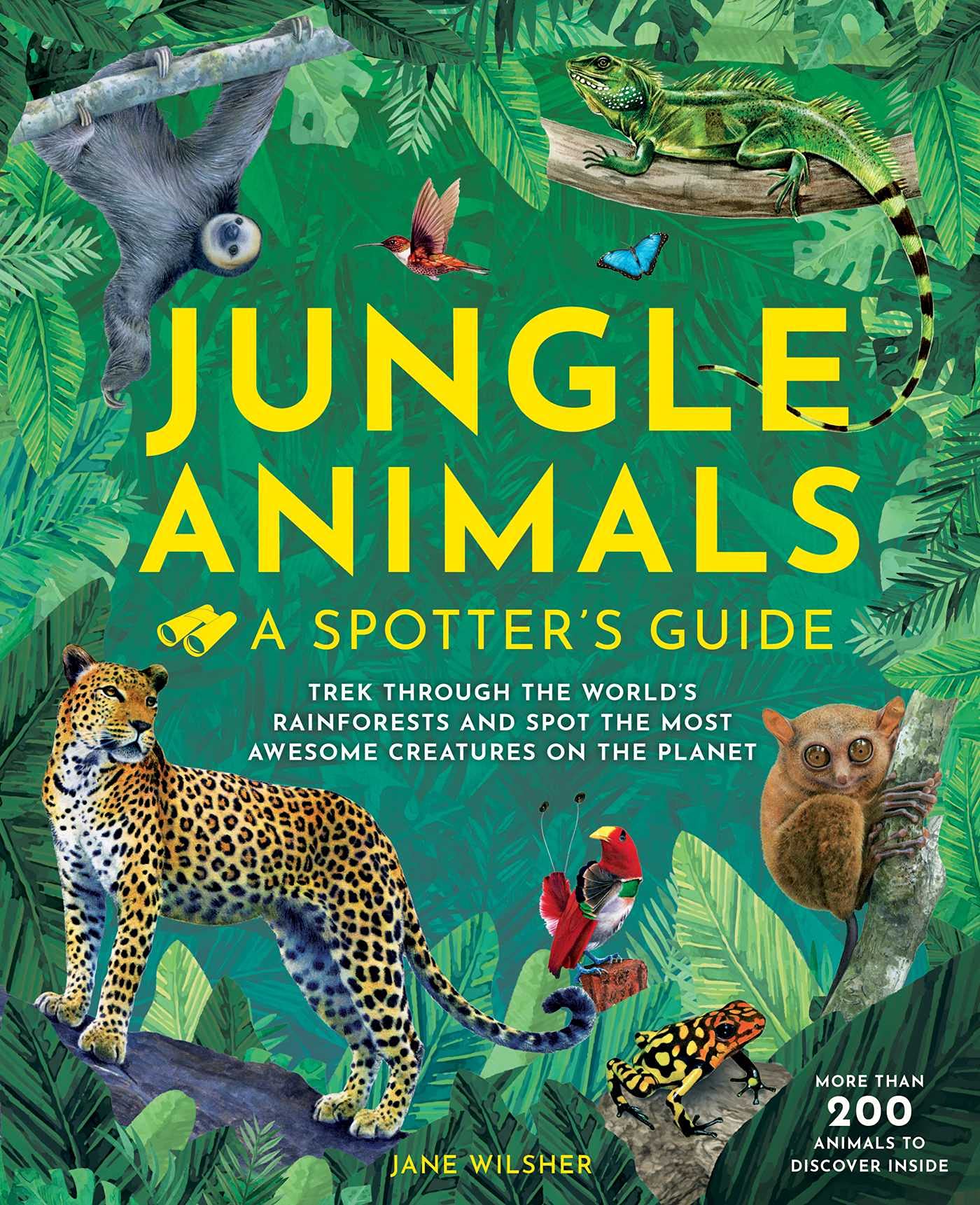 (未使用･未開封品)Crazy Crafts: Jungle Animals [DVD] 公式通販サイトでお買い Crazy Crafts: Jungle Animals [DVD] 【公式通販】